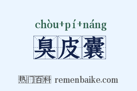 臭皮囊是什么意思的图片